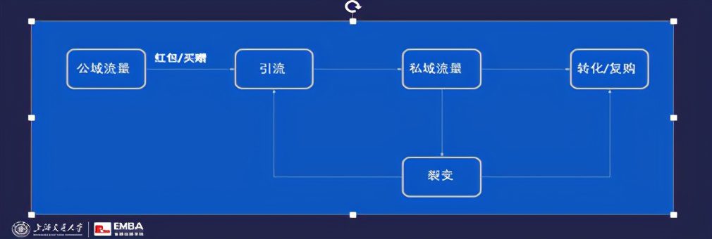 完美日記元氣森林鐘薛高，如何瘋狂崛起？