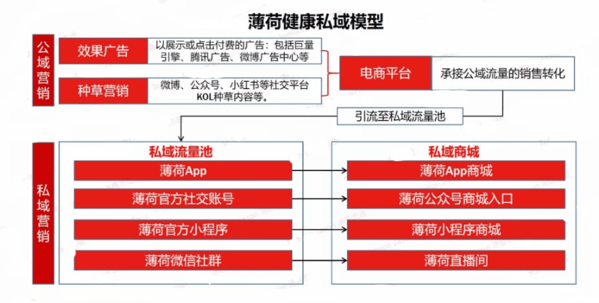 增長不止于銷量，12000字深度破解品牌增長謎題