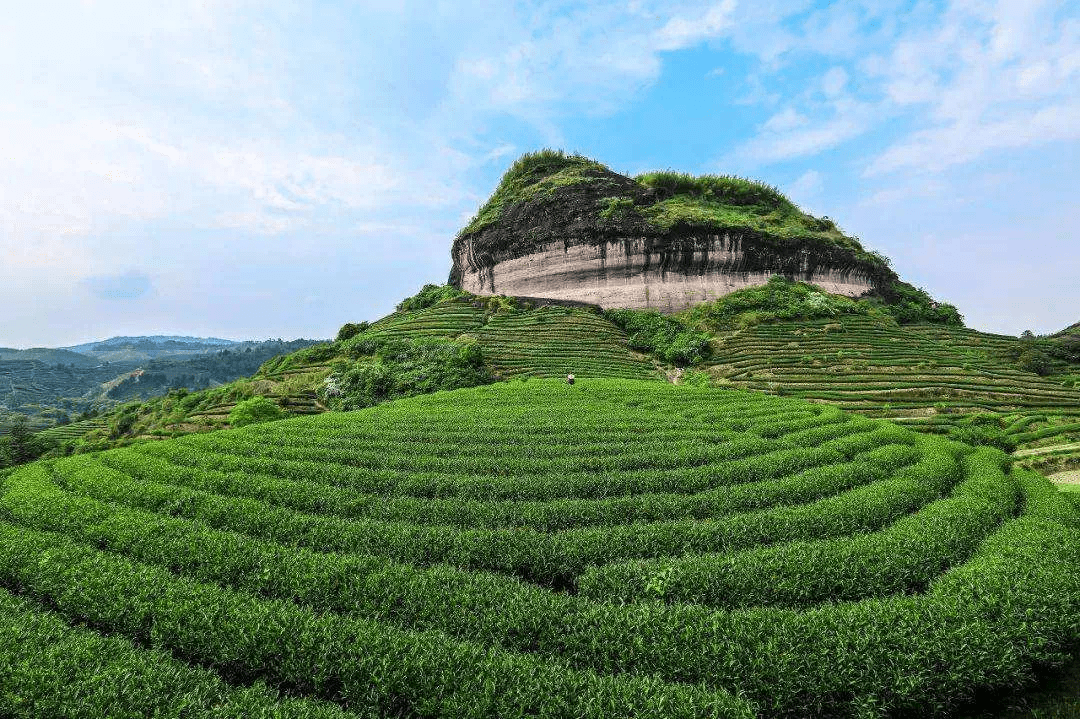 困在光環(huán)里的中國(guó)茶：既不想當(dāng)立頓，也沒(méi)能再造一個(gè)小罐茶