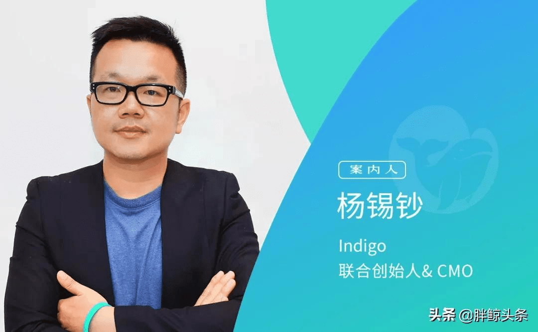 Indigo：汽車&科技品牌如何從小紅書、知乎、B站中跑出來？