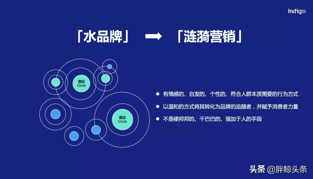 Indigo：汽車&科技品牌如何從小紅書、知乎、B站中跑出來？