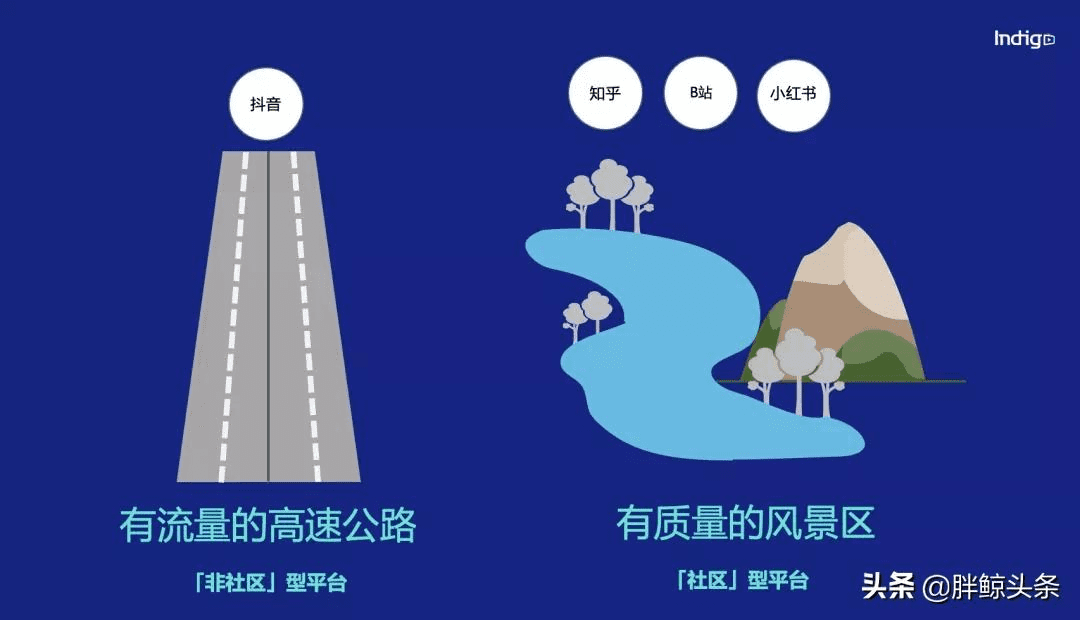 Indigo：汽車&科技品牌如何從小紅書、知乎、B站中跑出來？