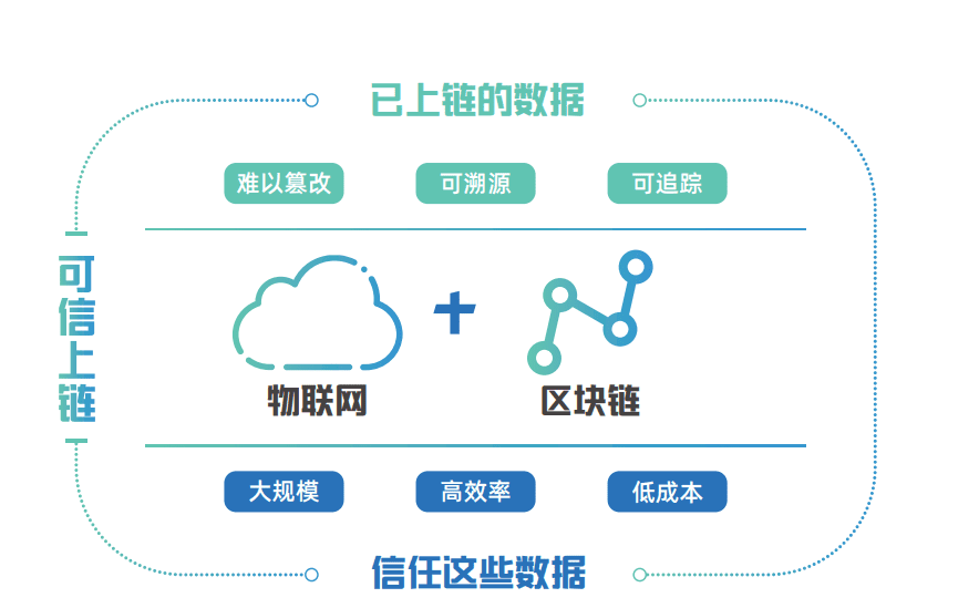 B端視角看「萬物上鏈」的黃金年代：行業(yè)賦能與人才儲備