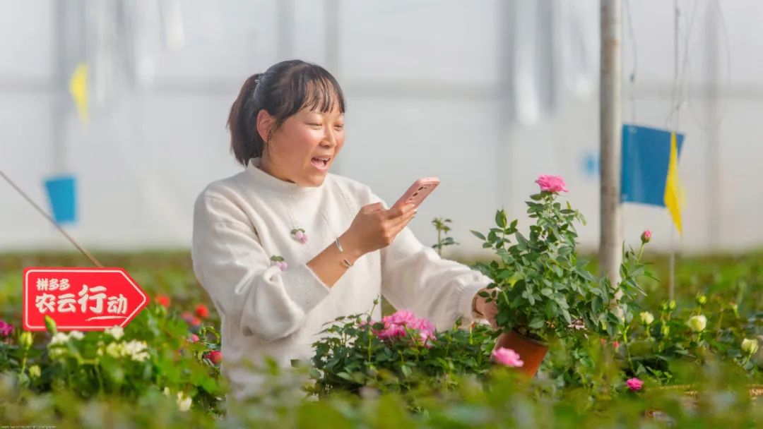 拼多多發(fā)財報了，我們更關(guān)心錢花到了哪