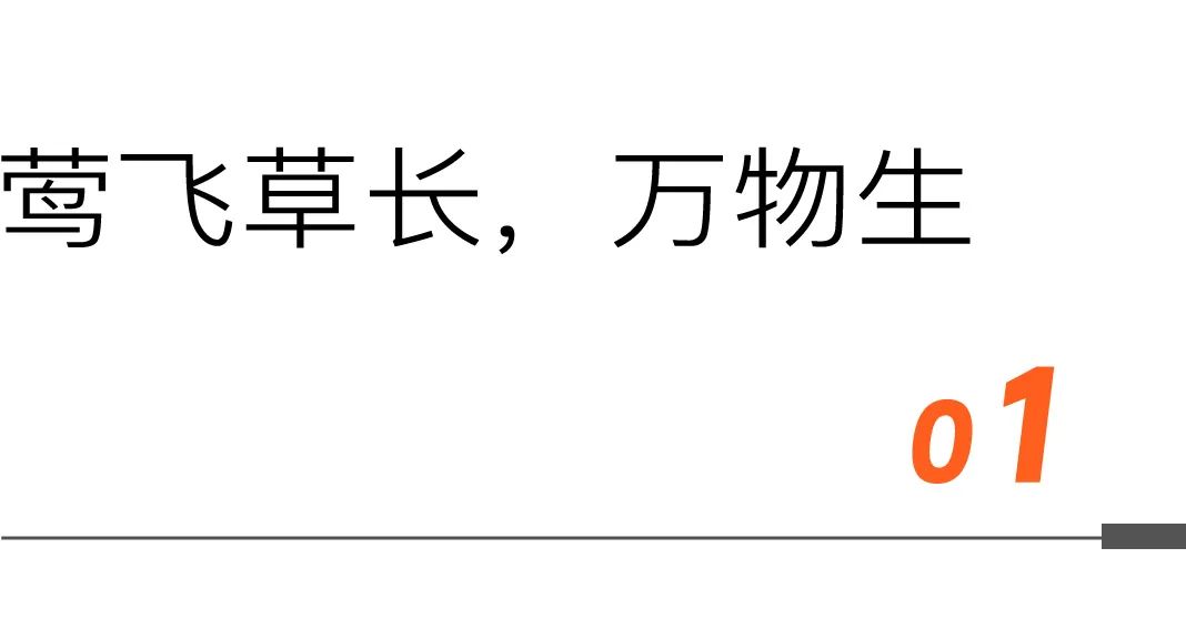 不可錯(cuò)過(guò)的「食品飲料行業(yè)」年終盛會(huì)！完整議程，正式發(fā)布！